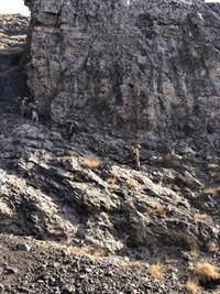 Fotoğraf-3