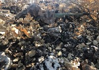 Fotoğraf-6
