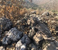 Fotoğraf-7